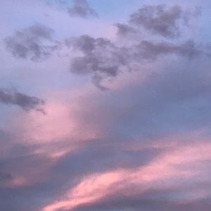 Meet your Posher, Jayden